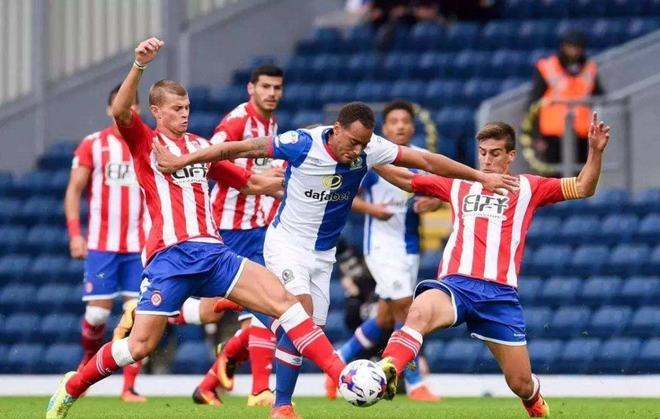 我们期待看 我们期待看