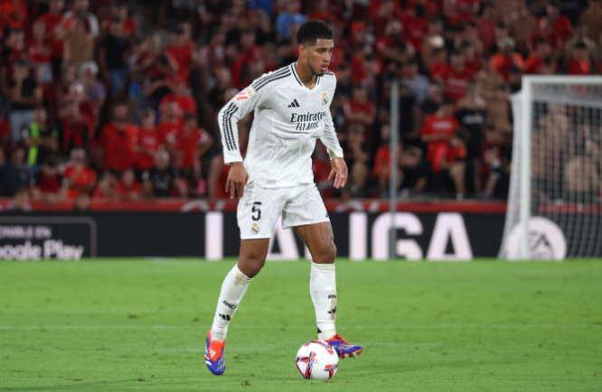 职业生涯的 职业生涯的